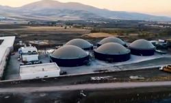 Cevizdere Besi Organize Tarım Bölgesi Üretime Hazırlanıyor!