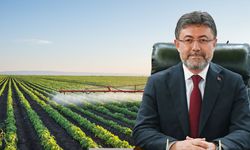 Tarımda Daralma Açıklandı: Bakanlık Detayları Paylaştı!