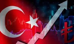 Türkiye Üçüncü Çeyrekte Büyüdü: Çarpıcı Fark Tarımda