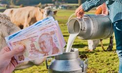 Çiğ Süt Üreticisine Müjde: Tarımsal Destekleme Ödemeleri Hesaplarda!