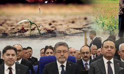 Tarımda Rekorlar Sunumda, Çöküş Sahada!