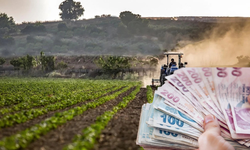 IPARD-III’den Üreticiye 376 Milyon TL'lik Destek!