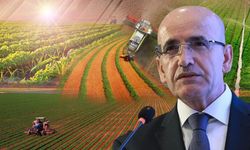 Bakan Şimşek Açıkladı: Tarım Büyümeye Nasıl Baskı Oluşturdu?