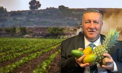 Gürer: Tropikal Meyvede İthalat Artıyor, Döviz Yurt Dışına Gidiyor