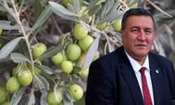 Gürer'den İktidara Çağrı: ''Sahaya İnin, Üreticiyi Dinleyin''