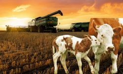 Tarımsal Örgütlerde 2025’in Birinci Derece Listesi Açıklandı!