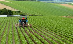 Tarımda Üretici Enflasyonu Kasım’da Geriledi