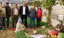 CHP’li Gürer: “2025 Tarım Sektörü İçin Kara Bir Yıl Oldu”