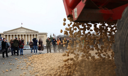 Çiftçiden Ticaret Anlaşmasına Patatesli Protesto!