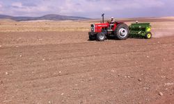 Tarım ÜFE Aralık’ta Yıllık Artış Gösterdi!