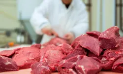 Kırmızı Et Üretiminde Yeni Model Masada!