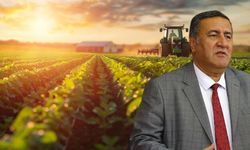 Gürer: Beton Toprağı Yuttu, Çiftçi Yoksullaştı