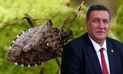 Gürer’in Soru Önergesine Bakanlıktan Yanıt!