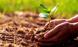 Organik Tarım Eğitimine Yoğun İlgi!