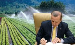 Tarım Sektörüne Yüzde 10’luk Ödenek Ayrıldı!