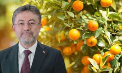 Tarım Sigortalarında Yeni Dönem!