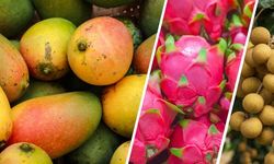 Tropikal Meyvede Yerli Hamle!