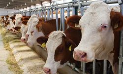 “Teslimat Aksıyor” İddialarına ESK’dan Yanıt