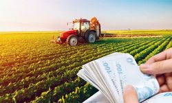 129 Milyon TL'lik Tarımsal Destekleme Ödemeleri Hesaplara Aktarılıyor!