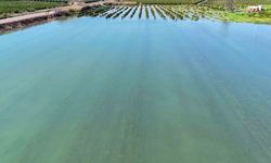 Yüreğir’de Aşırı Yağışlar Tarım Arazilerini Vurdu!