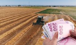 149 Milyon TL’lik Tarımsal Destekleme Ödemeleri Hesaplara Aktarılıyor!