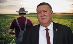 Gürer’den Kırsalda Gençler İçin Kanun Teklifi!