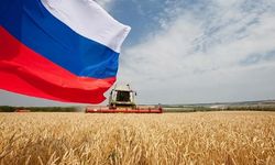 Buğdayda Kritik Tablo: Türkiye, Rusya’nın En Büyük İkinci Müşterisi!