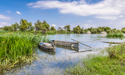 1,2 Milyon Hektarlık Sulak Alan Doğayı Koruyor