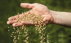Tohumda İsrail Tartışmasına Bakan Yumaklı'dan Yanıt!