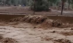 Köyceğiz’de 5 Milyon TL’lik Sera Kaybı!