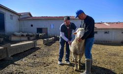 Üreticiyi En Çok Zorlayan Kaleme Destek