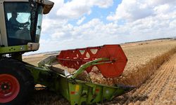 Tarımsal Üretici Fiyatlarında Yüksek Artış!