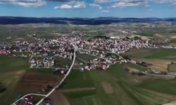 784 Milyon TL’lik Dev Hayvancılık Yatırımı!