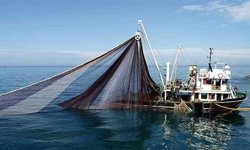 Av Sezonu Sona Erdi: Denizlerde 4,5 Aylık Yasak Başlıyor
