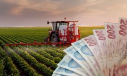 19 Milyar TL’lik Tarımsal Destekleme Ödemeleri Hesaplara Aktarılıyor!