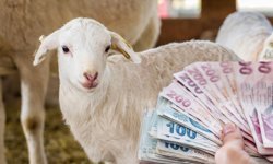 1,3 Milyar TL’lik Tarımsal Destekleme Ödemeleri Hesaplara Aktarılıyor!