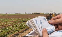 12 Milyar TL'lik Tarımsal Destekleme Ödemeleri Hesaplara Aktarılıyor!