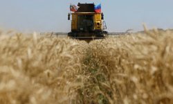 İsrail ve Ukrayna Arasında Tarım Krizi!