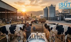 USK Yine Hüsran! Yine Değişmedi!