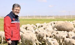 Bakan Yumaklı: ‘Üreticiye En İyi Irklar Verilecek’