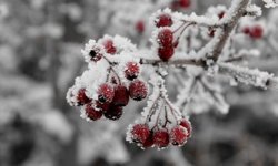 Türkiye Genelinde Yağış ve Don Alarmı!