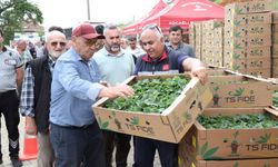 Büyükşehirden Üreticiye Fide Desteği!