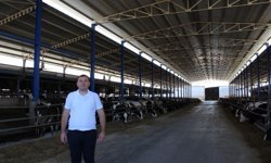 Hasan Çetin’den Kırmızı Et Uyarısı: “Buzağı Ölümleri Yüksek”