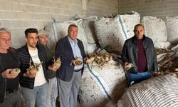Niğdeli Patates Üreticisi Ayakta Kalma Mücadelesi Veriyor