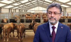 Bakan Yumaklı’dan Kurbanlık Arzına Dair Önemli Açıklama!