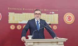 Sokak Köpekleri Tartışması Büyüyor: Yıldırım’dan “460 Milyarlık Sektör” İddiası!