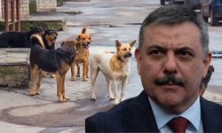 Çiftçi’den Net Mesaj: Yıl Sonuna Kadar Toplama Tamamlanacak