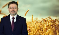 Bakan Duyurdu: TMO Hububat Alım Ödemelerini Başlattı