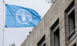 FAO’dan Tüm Dünyaya Hayvan Hastalıkları Uyarısı!