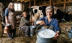 Dünya Süt Günü’nde Kadın Çiftçilerin Emeği Ön Planda